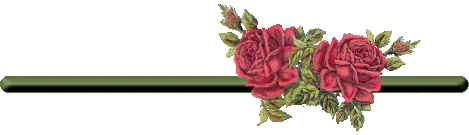 Divider bar with red rose flowers