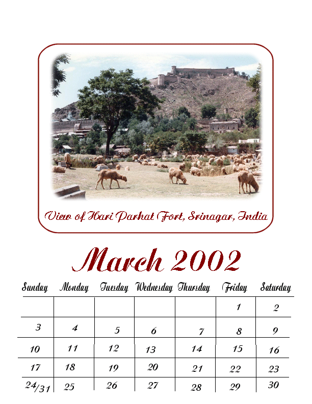 Calendar variation 8 View of Hari Parhat Fort, Srinagar, Kashmir, India