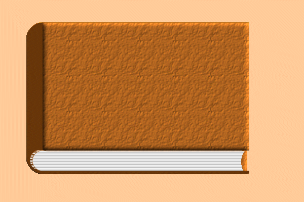 Leather Book