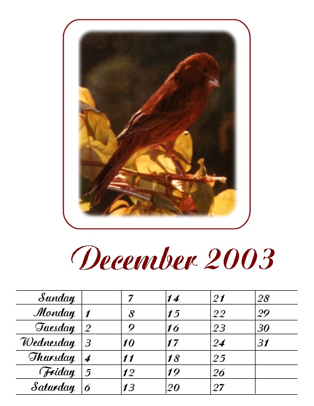 December 14 2001 Class Lesson Calendar part I