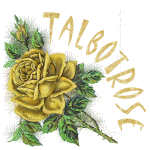 Animation of my sig tag for TalbotRose with rotate colors added in AS