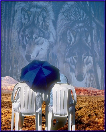 Class example from photos provided with the tutorial. They include a couple sitting in beach chairs on the beach, a desert scene and a pair of wolves.