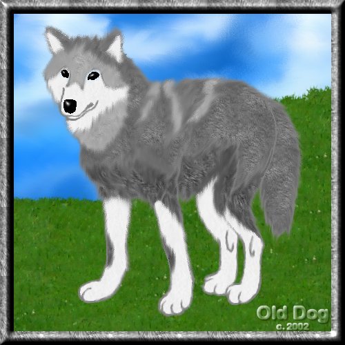 National Pet Week - wolf by Fleigmommy