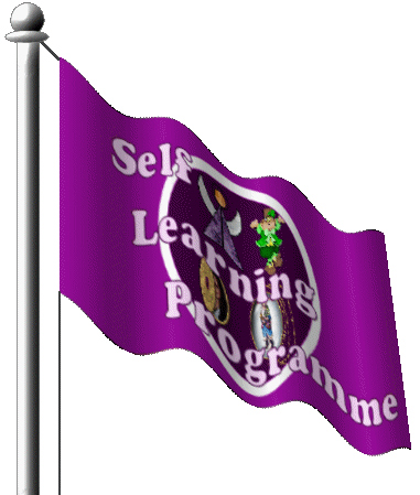 Waving SLP Flag
