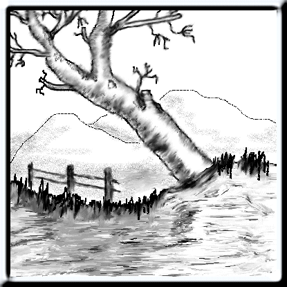 Community Activity Sketching Old Tree