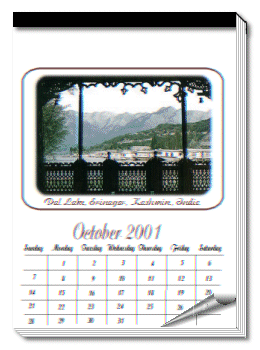 Image of a calendar variation 2