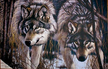 A pair of wolves.