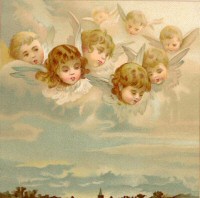 Picture 2 host of angel children