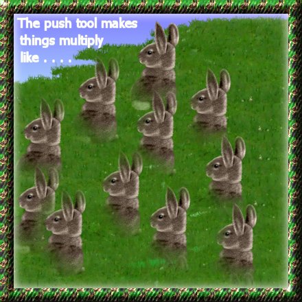 Push tool rabbits following the tutorial! 