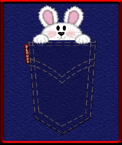Bunny in my Pocket Levis Tutorial 