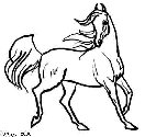 Arabian Horse 