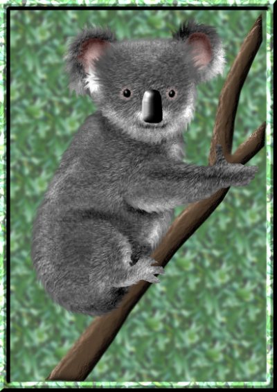 Di's Delights Koala Tutorial